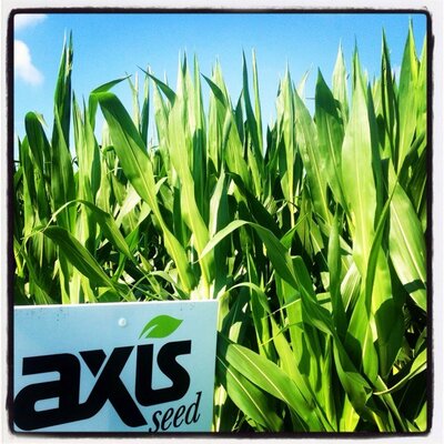 Profile Picture of Andrew Paulson (@@AxisDirectLLC) on Twitter