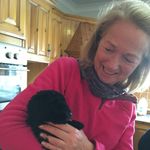 Profile Picture of Patricia Swords (@patricia.swords.52) on Instagram