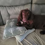 Profile Picture of Freya Doughty (@Freya-Doughty) on Facebook