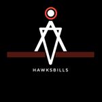 Profile Picture of |.•HAWKSBILLS•.| (@hawksbillss) on Instagram