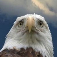 Profile Picture of Shirley Ping (@shirley-ping) on Quora