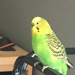 Profile Picture of Andrew Jorgenson (@drewadude0819) on Instagram