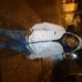 Profile Picture of Walter Burgo (@walter.burgo.792) on Facebook