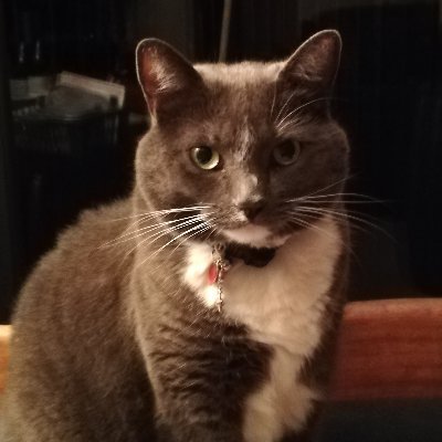 Profile Picture of Mike Diack (@DiackMike) on Twitter