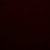 Profile Picture of Blake Stein (@blake-stein-1) on Quora