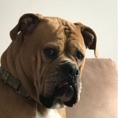 Profile Picture of Jay Smithers (@wrknfxn) on Twitter