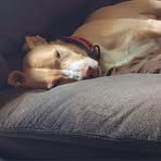 Profile Picture of Todd Hackett (@todd.hackett.621710) on Facebook