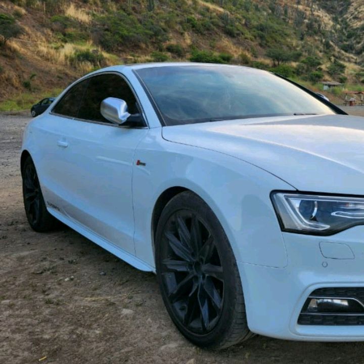 Profile Picture of RobertoSline (@robertsline) on Tiktok