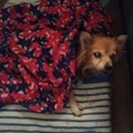 Cathy Scully-fonash - Instagram Profile Picture of Cathy Scully-fonash (@scullyfonash) on Instagram