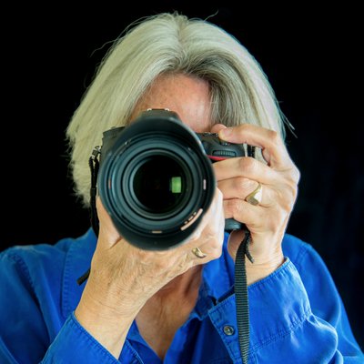 Profile Picture of SusanLouise Anderson (@SusanLouiseAnde) on Twitter