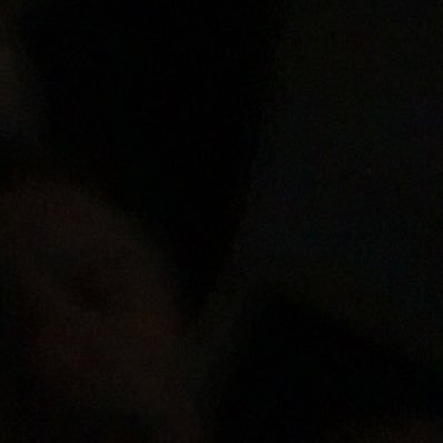 Profile Picture of James Lindner (@jameslindner10) on Twitter