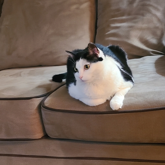 Profile Picture of Jessica Schymanski (@jessjeff97) on Poshmark