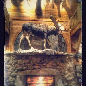 Profile Picture of briansuko348 (@briansuko348) on Tiktok