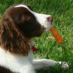 Mark Roseberry - Instagram Profile Picture of Mark Roseberry (@mark.roseberry) on Instagram