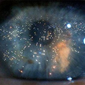 Profile Picture of Julian Vargas (@julianstiddem) on Twitter