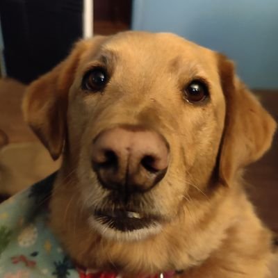 Profile Picture of Ian McCarty (@IanMcCa30237929) on Twitter