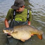 Profile Picture of David R. (@david_rosem) on Instagram