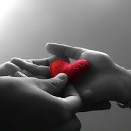 Profile Picture of Luis Olivar (@luisolivar3) on Tiktok