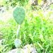 Profile Picture of Lorraine DeNardis Albert (@denardisalbert) on Pinterest