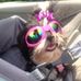 Profile Picture of Paula Perdue (@paula.perdue.1) on Facebook