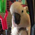 Profile Picture of Nathan Wurm-Cutter (@flapjackpatio) on Instagram