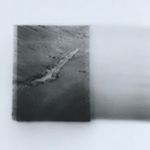 Profile Picture of Jo-ey Tang (@thenotarypublic) on Instagram