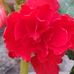 Profile Picture of Alice Riggins (@alice.riggins.754) on Facebook
