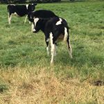 Profile Picture of Jaime Forero (@jaime.forero.75054) on Instagram