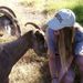 Profile Picture of Lacey Stevenson (@laceysteve) on Pinterest