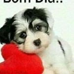 Profile Picture of Fabiane cassandra da silva (@fabianecassandradasilva30) on Instagram