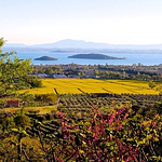 Profile Picture of Barbara Iandolo (@b. shoots) on Flickr