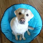 Profile Picture of _golovinov.pavel_ (@_golovinov.pavel_) on Instagram