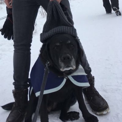 Profile Picture of Alex Eberle (@Alexandrus817) on Twitter