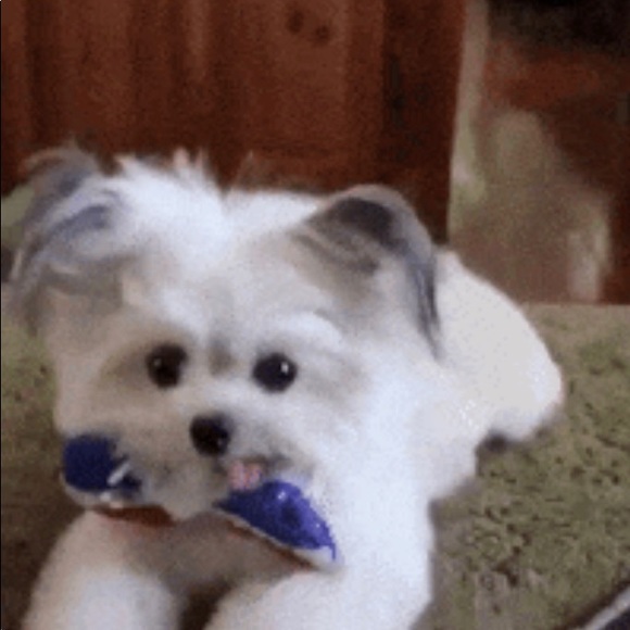 Profile Picture of Engineika Shanklin (@engineikas) on Poshmark