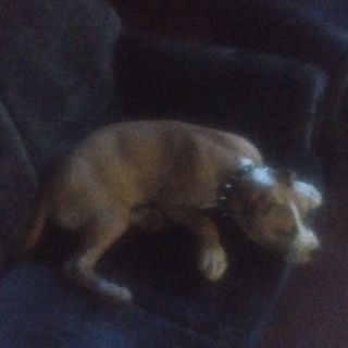 Profile Picture of Benny Detering (@benny.detering.16) on Facebook