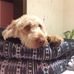 Profile Picture of Skeeter Smith (@skeeter.smith.71653) on Facebook
