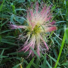 Profile Picture of Christa Frierson (@christafrierson) on Tiktok