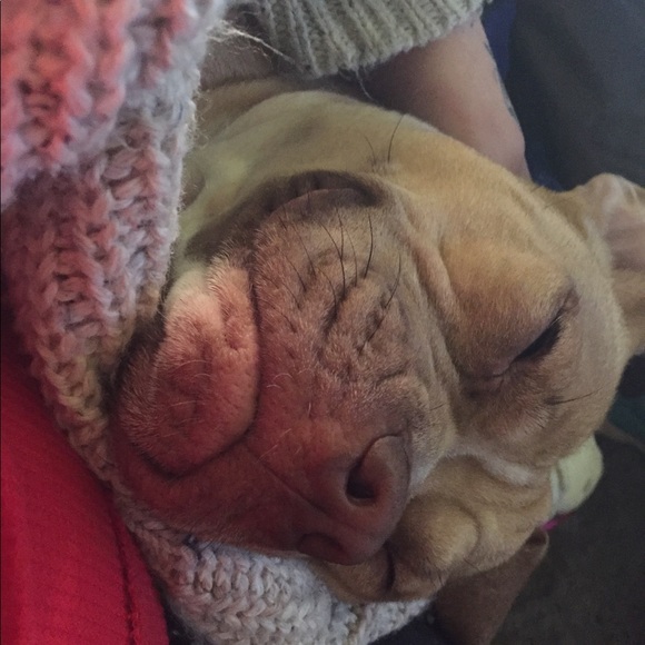 Profile Picture of Gabrielle Wagner (@wagner8799) on Poshmark