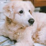 Profile Picture of xiaowei_liuvvvv (@xiaowei_liuvvvv) on Instagram