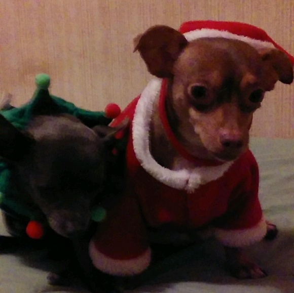 Iris Tucker - Poshmark Profile Picture of Iris Tucker (@pucca03) on Poshmark