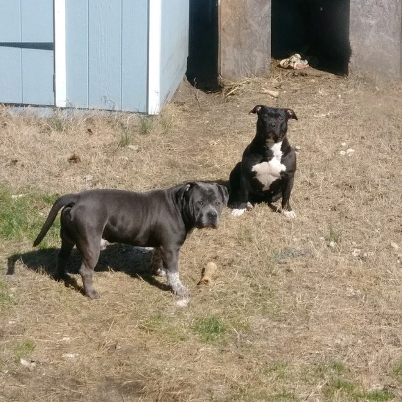 Profile Picture of Joseph Hayes (@jhaze30) on Poshmark