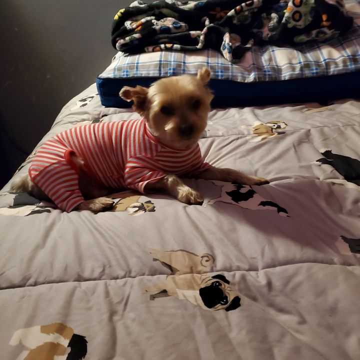 Profile Picture of Pamela Dupage (@pameladupage) on Tiktok