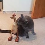 Profile Picture of Barry Irvine (@barry.irvine.5203) on Instagram