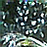 Profile Picture of Joseph Poovattil (@jojo poovattil) on Flickr