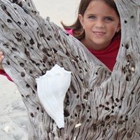 Profile Picture of Robin Parnell (@robin-parnell-4) on Quora