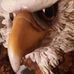 Profile Picture of Kevin Lanaghan (@kevin.lanaghan.3) on Facebook