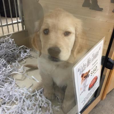 Anthony Scalco - Twitter Profile Picture of Anthony Scalco (@ScalcoAnthony) on Twitter