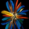Profile Picture of Adams@@@ (@adamuhe) on Tiktok