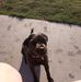 Profile Picture of Brandy Mcdaniel (@brandy.mcdaniel.904) on Facebook