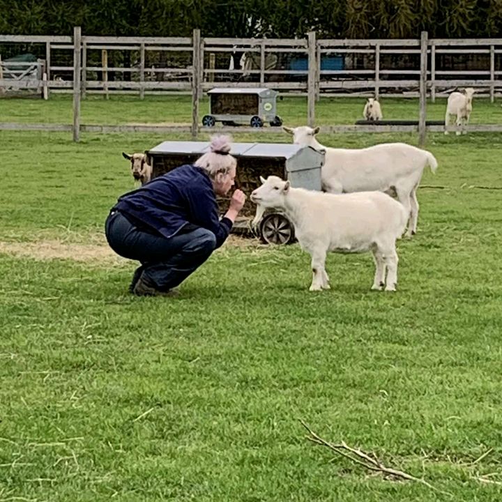 Profile Picture of Leah Hull (@leahhull02x) on Tiktok